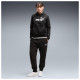Puma Γυναικείο παντελόνι φόρμας Essentials No.1 Logo Sweatpants